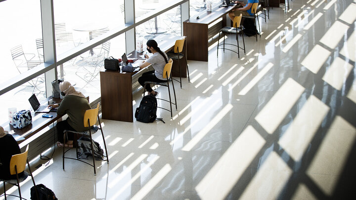 Students Studying