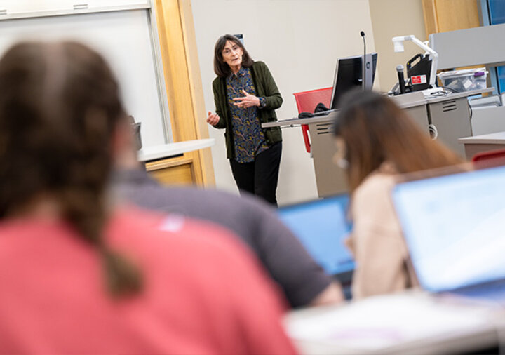 Marjorie Shelley taught courses in accountancy and data analytics.